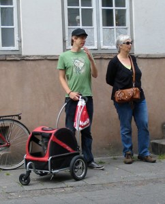 Färdtjänst för trötta hundar?