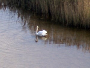 Inget hallaballoo här inte.