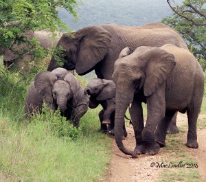 Kids will be kids...